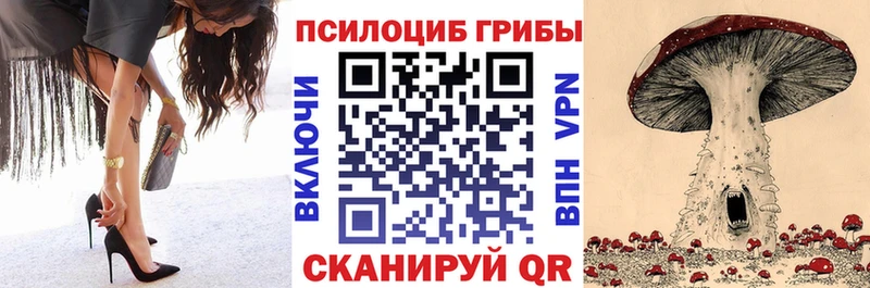 Псилоцибиновые грибы Cubensis  Сочи 